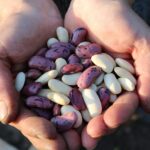 Maximaal genieten 7 tips om alles uit een dag cabrio huren te halen