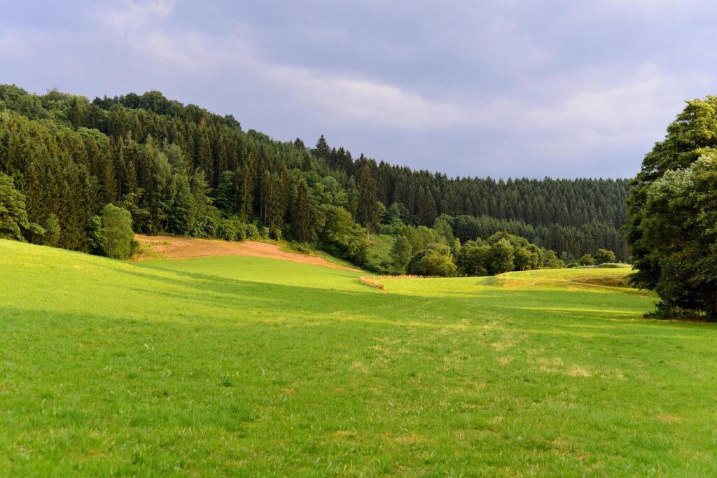 Cabrio route langs meren, bossen en heuvels in Luxemburg Cabrio route langs meren, bossen en heuvels in Luxemburg