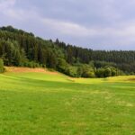 Cabrio route langs meren, bossen en heuvels in Luxemburg